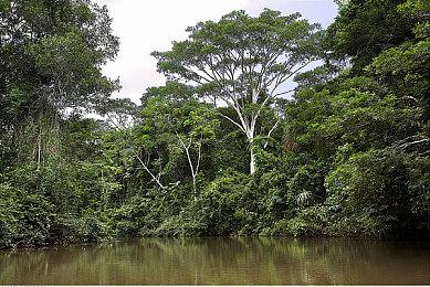 好评免费《Frostrain》更新1.4发布 肉鸽卡牌构建